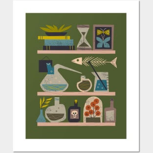 Laboratory Shelves Posters and Art